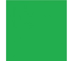 Kartong värviline Folia A4, 300g/m² - 50 lehte - mururoheline
